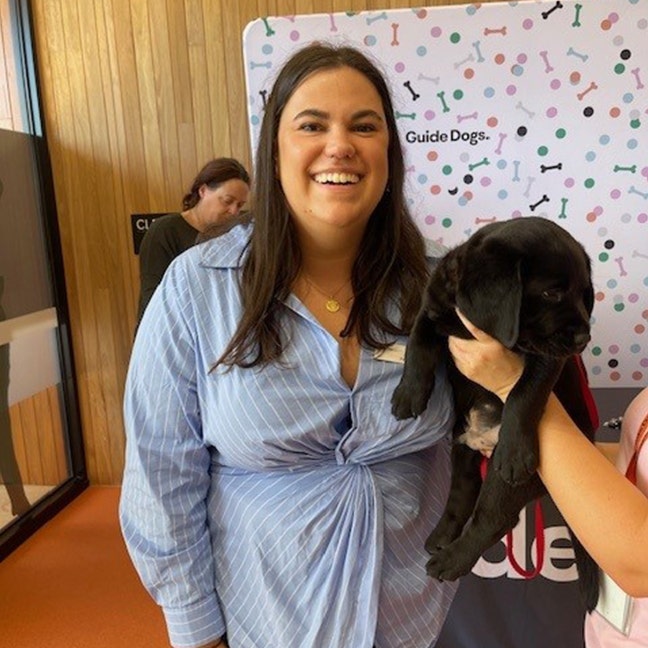 Bela pats a black labrador puppy